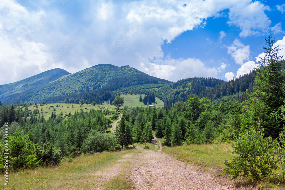 landscape of a Carpathians mountains with footpath, fir-trees and sky