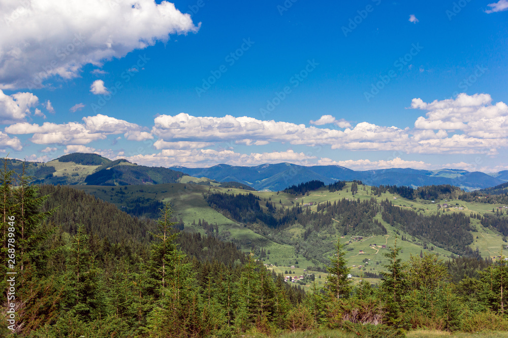 landscape of a Carpathians mountains with fir-trees and sky