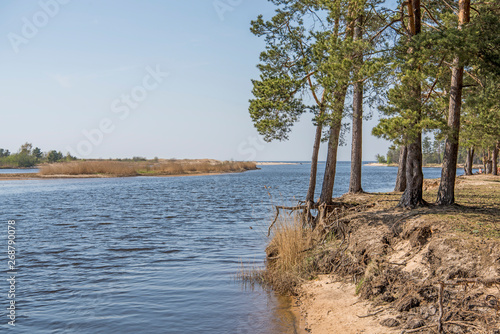 Baltic sea coast. Sunny summer day. Latvia. River called Gauja