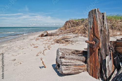 Strandgut