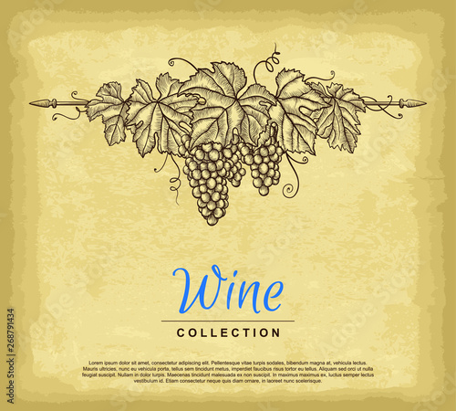 Hand drawn grape wreath. Old paper texture background. Template for your design works. Engraved style vector illustration.