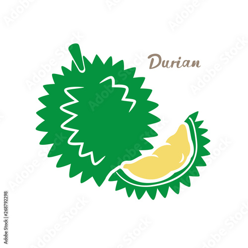 Flat Durian and cut piece vector white background. Durian icon.