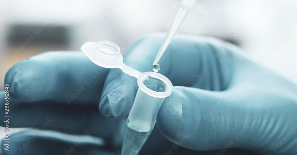 sample tubes in female hands and pipette sample tubes in female hands and pipette