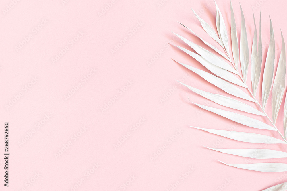 Summer composition. White tropical palm leaf on pink background. Summer concept. Flat lay, top view, copy space