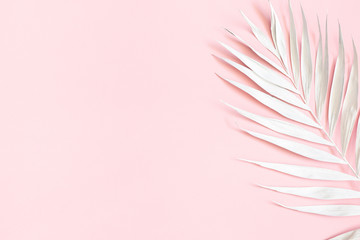 Summer composition. White tropical palm leaf on pink background. Summer concept. Flat lay, top view, copy space