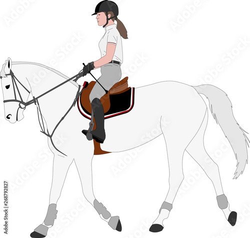 detailed color illustration of young female riding elegant horse - dressage