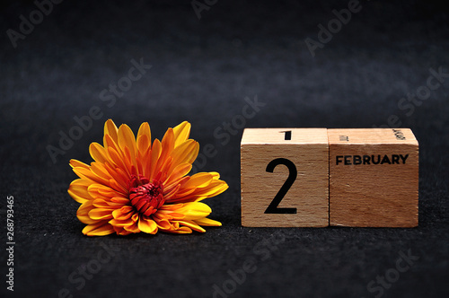 2 February on wooden blocks with am orange daisy on a black background
