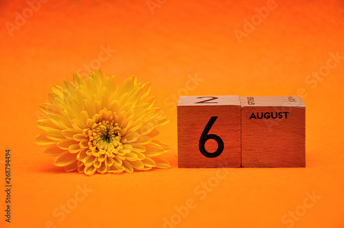 6 August on wooden blocks with a yellow daisy on an orange background photo