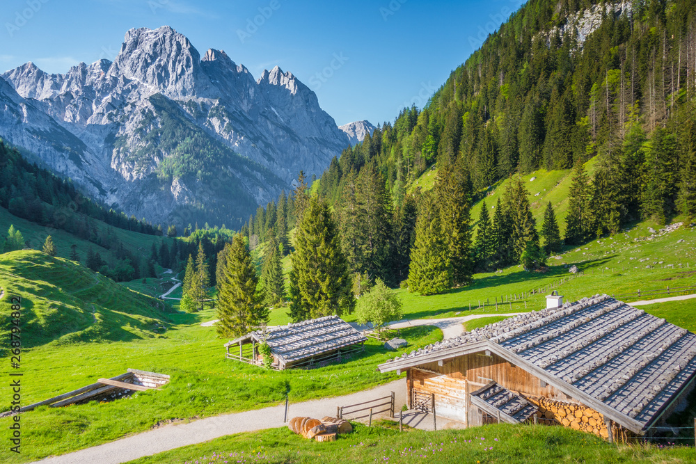 Fototapeta premium Traditional mountain chalets in the Alps in summer