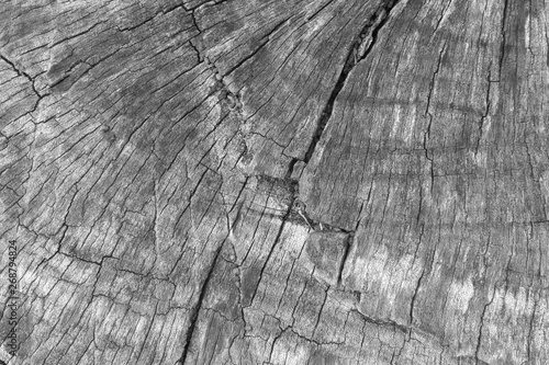 Background wood texture close up
