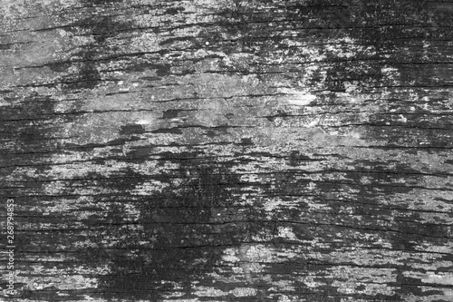 Background wood texture close up