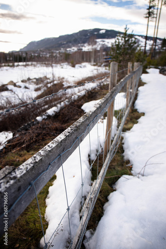 Wallpaper Mural winter Torontodigital.ca