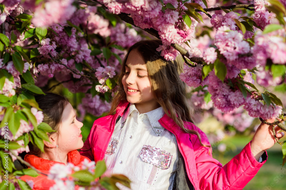 Fototapeta premium summer. Childhood beauty. Family day. happy sisters in cherry flower. Sakura blooming. small girl children in spring flower bloom. Natural cosmetics for skin. blossom smell, allergy. Sisterhood