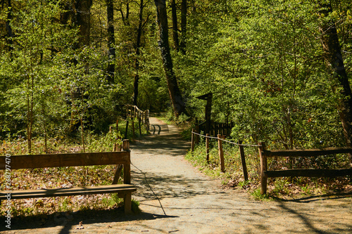 Orgi Forest in Ulzama. Near the town of Lizaso to be able to walk in the nature between centennial oaks
