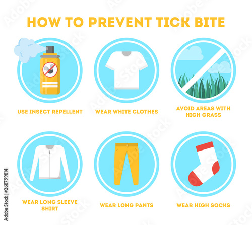 Tips for tick safety infographic. How to protect skin