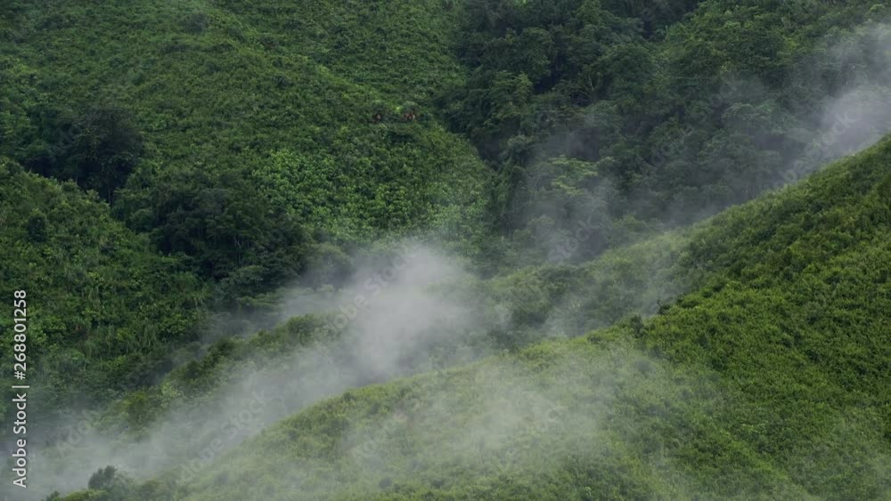 TL MS fog and mist on mountain range Landscape view at Nan provience, Thailand, Zoom out. TL MS fog and mist on mountain range Landscape view at Nan provience, Thailand, Zoom out.