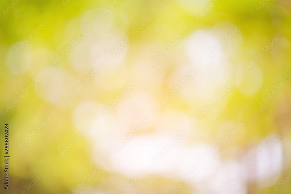 Blurred background, natural light shining through the leaves Blurred background, natural light shining through the leaves