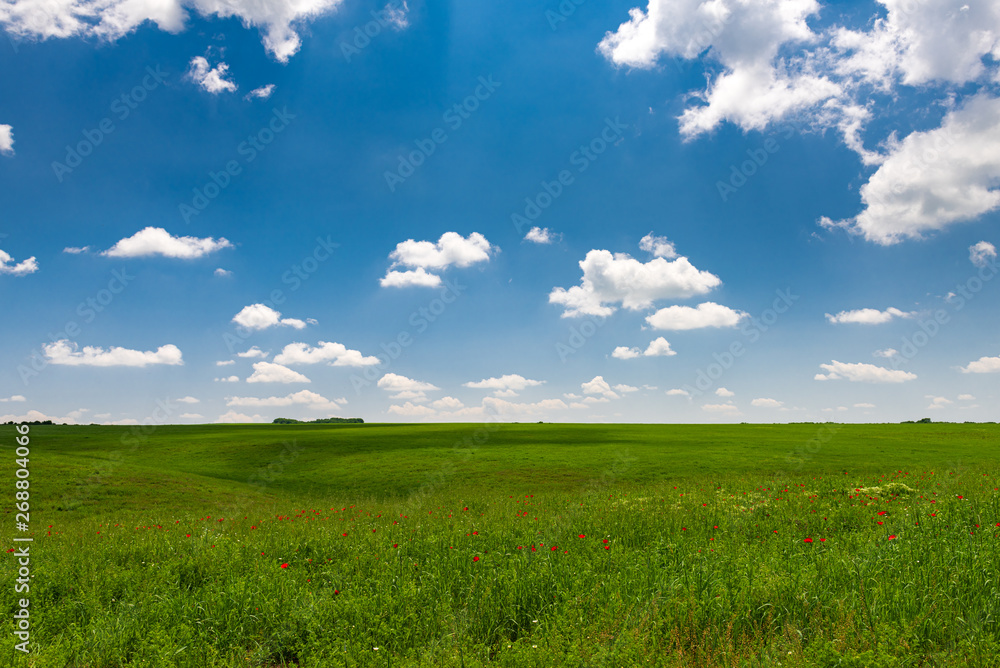 Obraz premium Green field with clouds in the blue sky