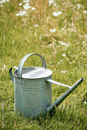 Old metal watering can standing in a beautiful flowering springtime meadow