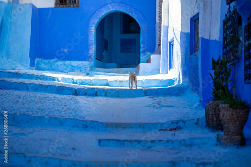Medina de Chauen, Marruecos © Ricardo Ferrando