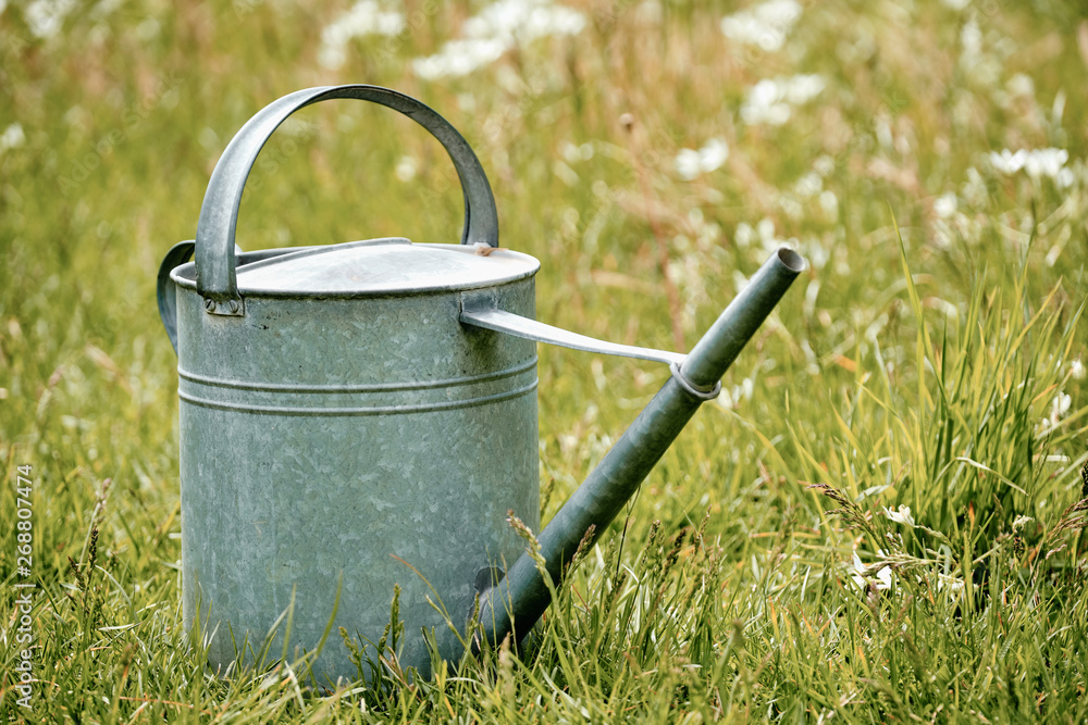 Old metal watering can standing in a beautiful flowering springtime meadow Old metal watering can standing in a beautiful flowering springtime meadow