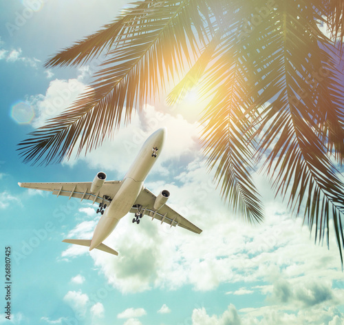 plane and Summer palm trees against blue sky clouds and sun background, happy holiday and tropical resort concept