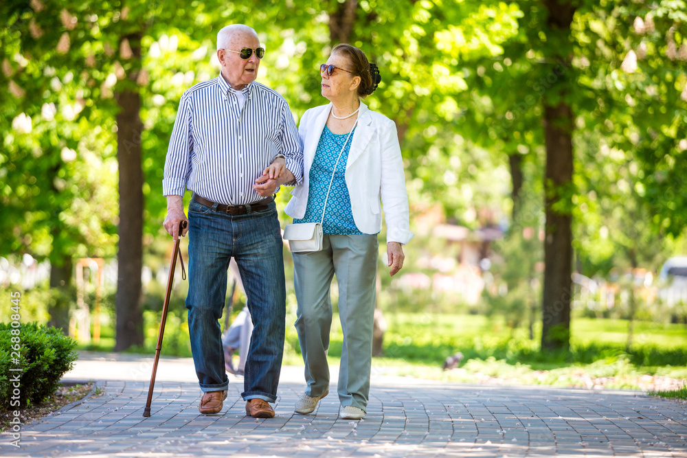 Cheerful senior couple having good time in city park, walking, laughing and enjoying sunny day. Old people wearing color clothes ans sunglasses Cheerful senior couple having good time in city park, walking, laughing and enjoying sunny day. Old people wearing color clothes ans sunglasses