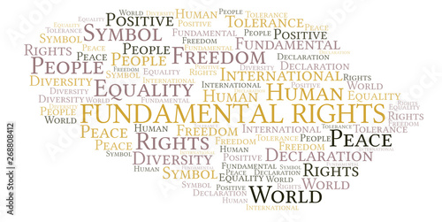 Fundamental Rights word cloud. Wordcloud made with text only.