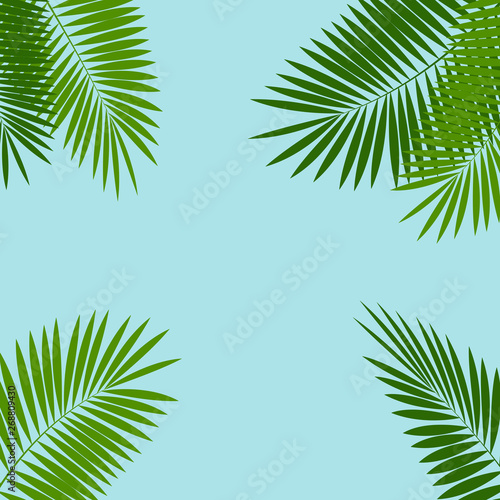 Palm Leaf Vector Background Illustration