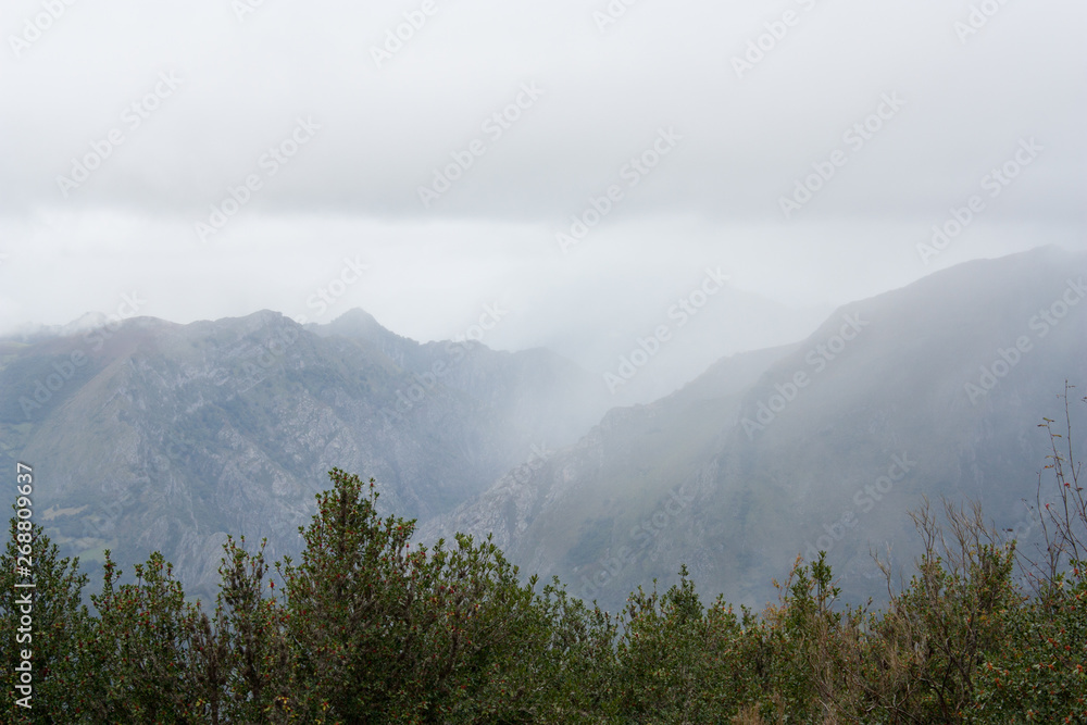 Nubes bajas en montañas