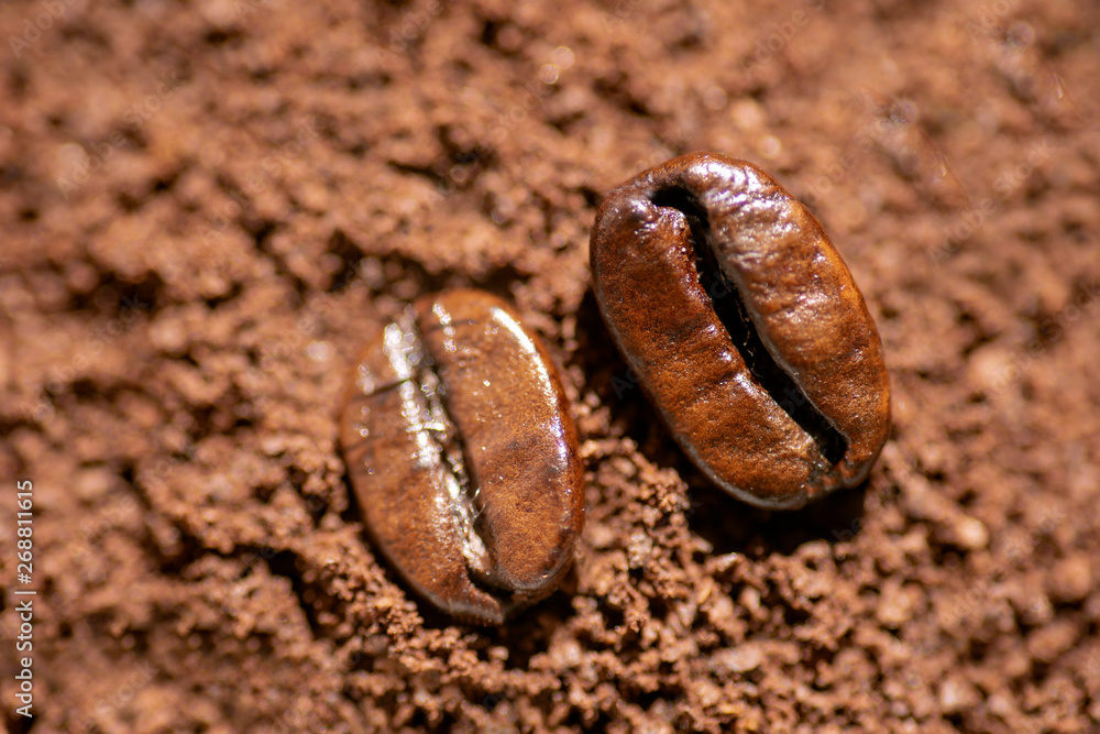 Soft focus Coffee beans are placed on the coffee that has been crushed into coarse powder. Prepare the brew. Soft focus Coffee beans are placed on the coffee that has been crushed into coarse powder. Prepare the brew.