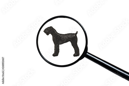 Airedale Terrier, Silhouette of dog on white background, view through a magnifying glass
