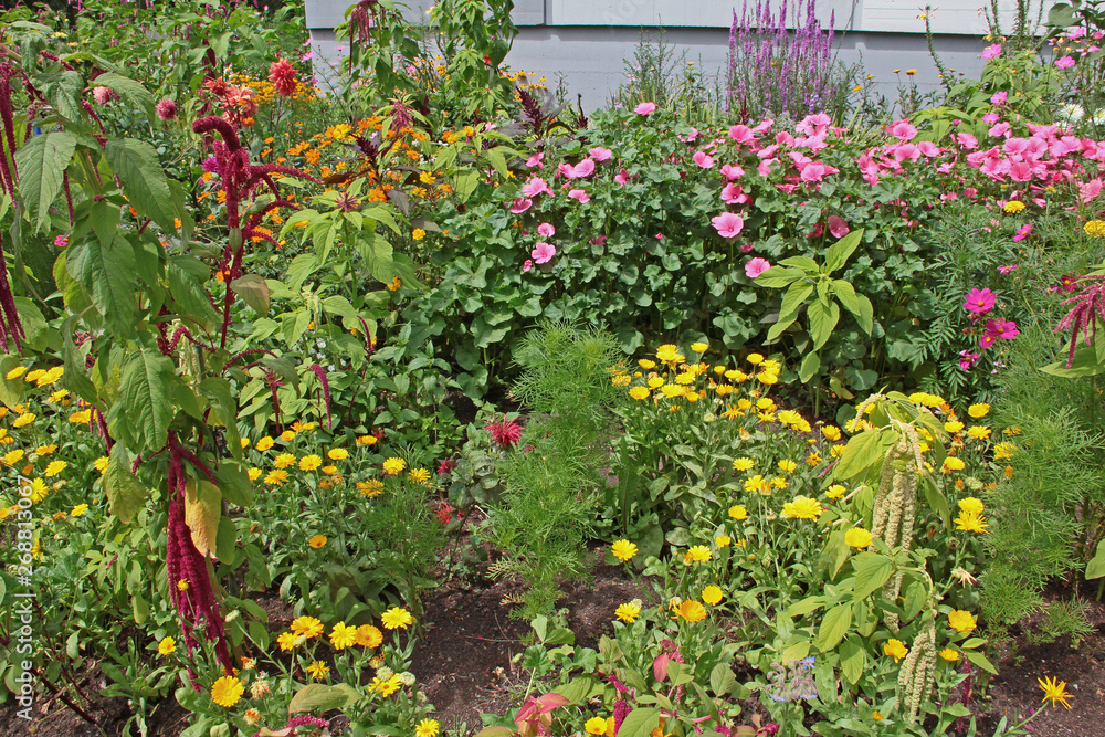 Blumen im Sommer Blumen im Sommer