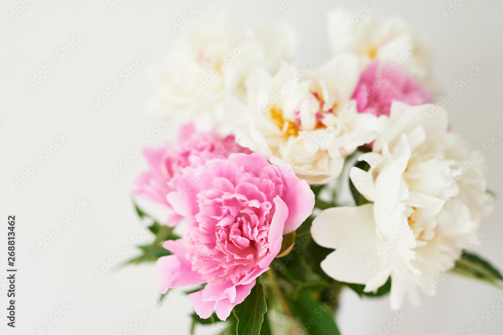 peonies in a vase on a white background peonies in a vase on a white background