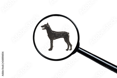 Dobermann, Silhouette of dog on white background, view through a magnifying glass