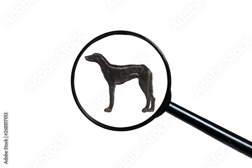 Pointing dog, Silhouette of dog on white background, view through a magnifying glass