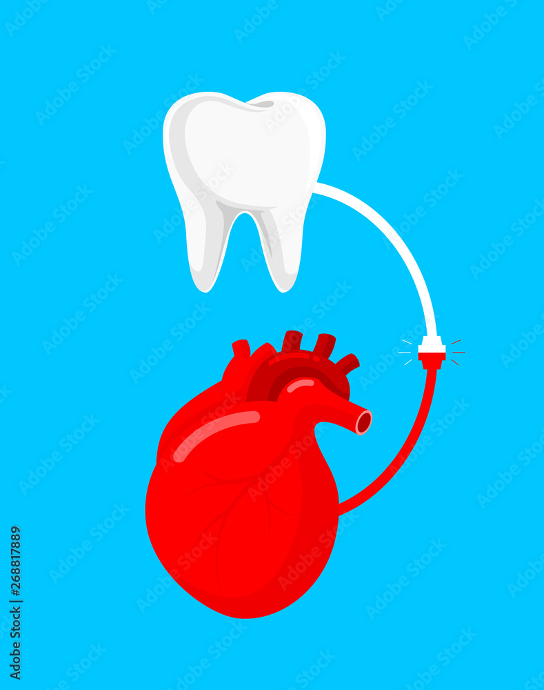 Connection between human heart and tooth concept. Oral health and heart disease are connected