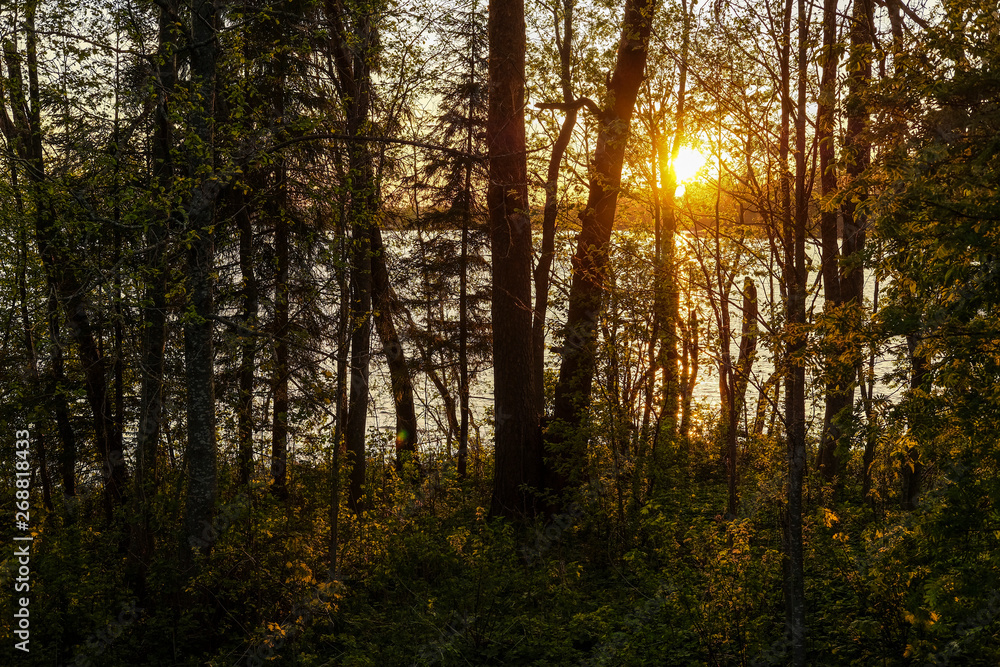 image of sunset over Valdai lake through tree branches image of sunset over Valdai lake through tree branches