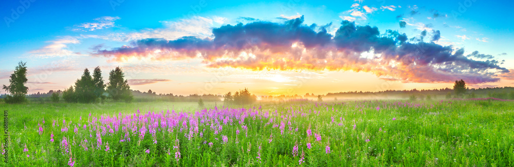 panorama rural landscape with sunrise  and  blossoming meadow