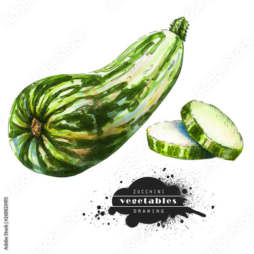 Zucchini isolated on white background. Illustration of a raw vegetable sketch. Veggiery and healthy nutrition. photo