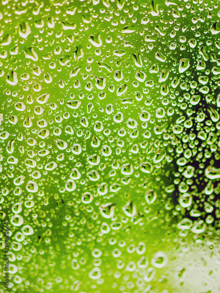 Rain drops on glass. Silhouettes of green water drops on a transparent surface.