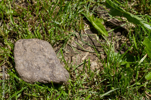 stone among green grass