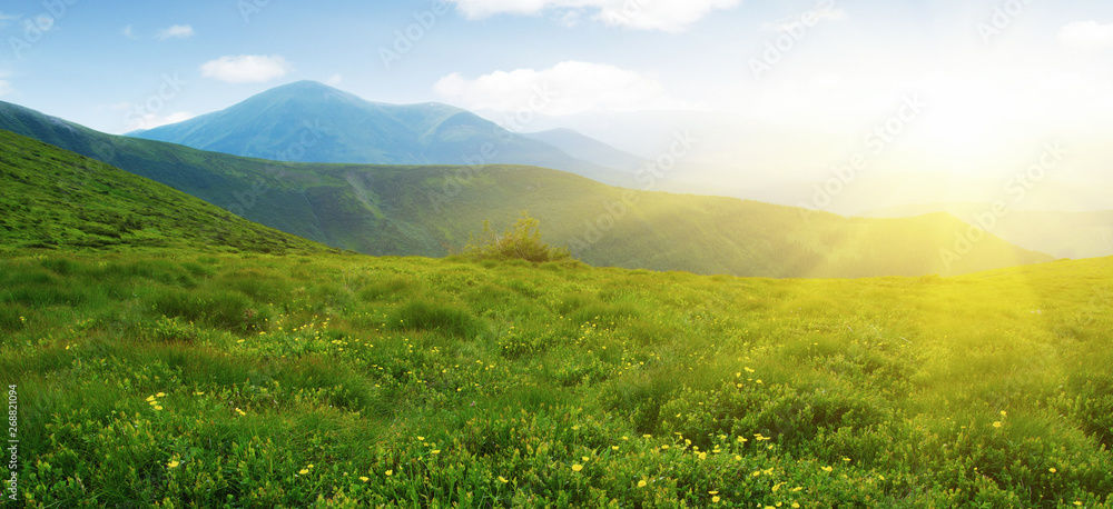 Mountains landscape in the summer