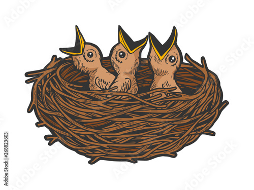 Nestling bird in nest color sketch line art engraving vector illustration. Scratch board style imitation. Black and white hand drawn image.