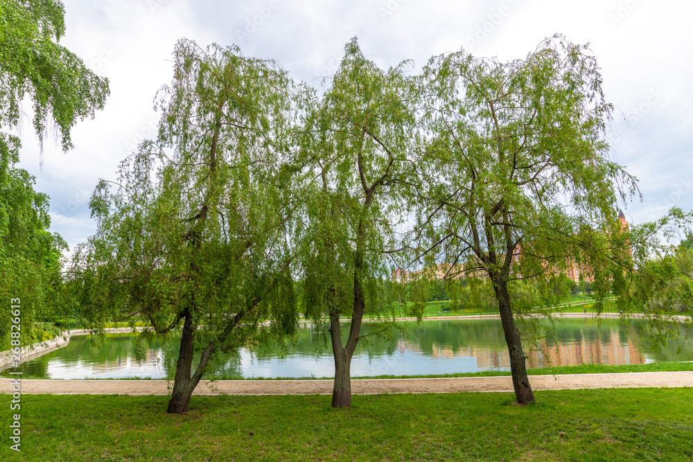 Beautiful landscape in Friendship Park in Moscow, Russia Beautiful landscape in Friendship Park in Moscow, Russia