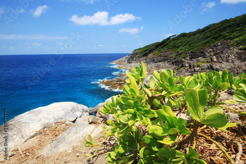 Beautiful paradise in summer of seascape and sea horizon with yacht boat in Calm ocean and blue sky on rock mountain Cape.Tropical Beach plants and jungle island