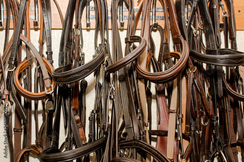 Different sports bridle, brown and black, hang on hooks on the wall in a row