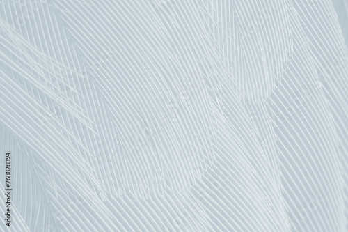 Beautiful white baby blue colors tone feather pattern texture background for Decorative design wallpaper and other