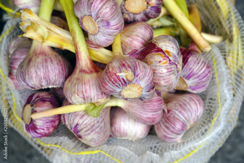 Fresh purple garlic heads at an Italian farmers market