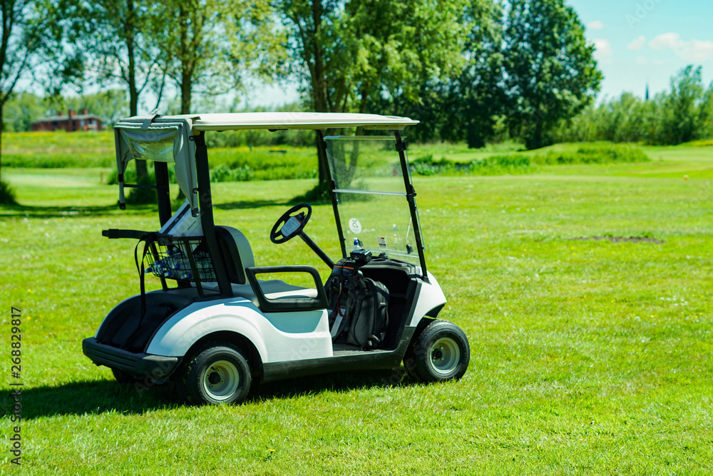 Coche de golf en campo de golf profesional en Amsterdam Coche de golf en campo de golf profesional en Amsterdam